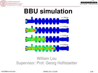 BBU simulation