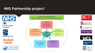 NHS Partnership project