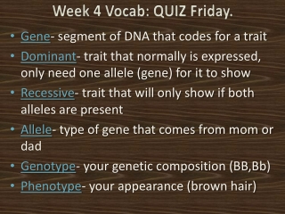 Week 4 Vocab : QUIZ Friday.