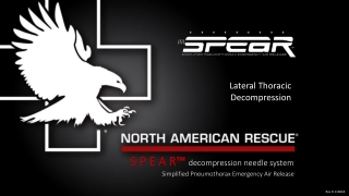 S P E A R™ decompression needle system