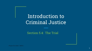 Introduction to Criminal Justice