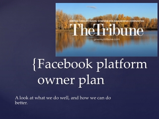 Facebook platform owner plan