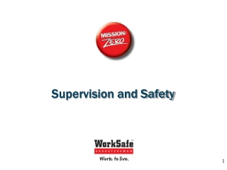 Supervision and Safety