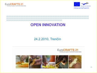 OPEN INNOVATION