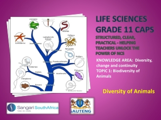 KNOWLEDGE AREA: Diversity, change and continuity TOPIC 1: Biodiversity of Animals