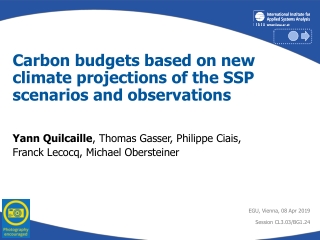 Carbon budgets based on new climate projections of the SSP scenarios and observations