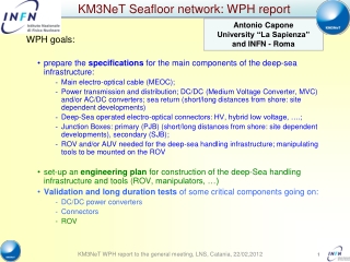 KM3NeT Seafloor network: WPH report