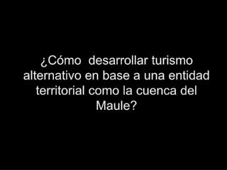 ¿Cómo desarrollar turismo alternativo en base a una entidad territorial como la cuenca del Maule ?
