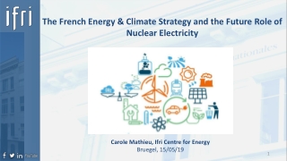 The French Energy &amp; Climate Strategy and the Future Role of Nuclear Electricity