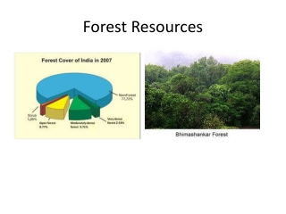 Forest Resources