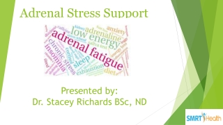 Adrenal Stress Support