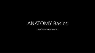 ANATOMY Basics