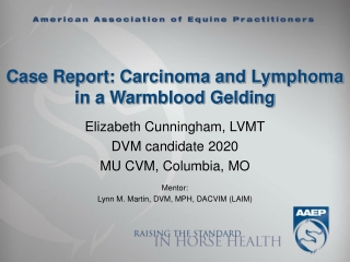 Case Report: Carcinoma and Lymphoma in a Warmblood Gelding