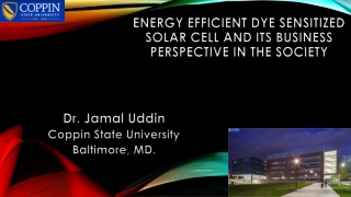 Energy Efficient Dye Sensitized Solar Cell and its Business Perspective in the Society