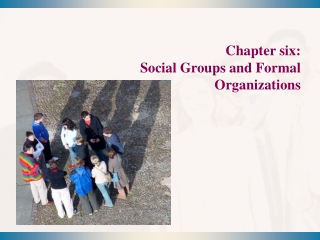 Chapter six: Social Groups and Formal Organizations