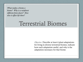 Terrestrial Biomes