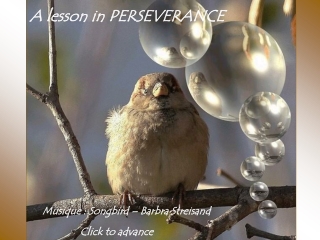 A lesson in PERSEVERANCE