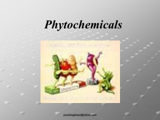 Phytochemicals