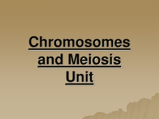 Chromosomes and Meiosis Unit