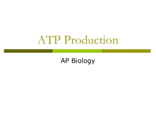 ATP Production