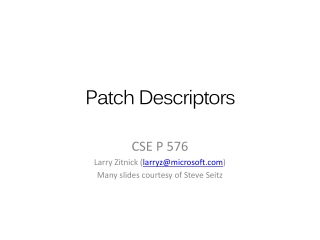 Patch Descriptors