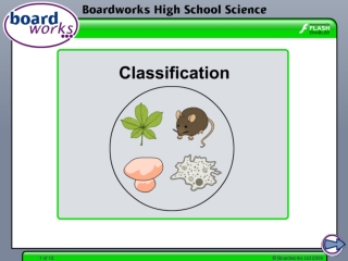 What is classification?