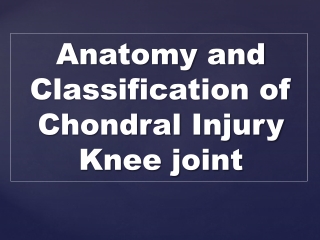 Anatomy and Classification of Chondral Injury K nee joint