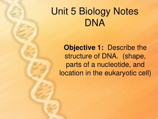 Unit 5 Biology Notes DNA