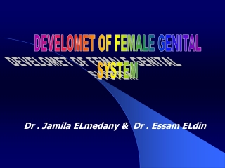 DEVELOMET OF FEMALE GENITAL SYSTEM