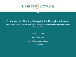 Fundamentals of Raising Startup Capital Through the Internet