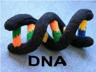 DNA