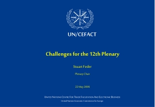 Challenges for the 12th Plenary Stuart Feder Plenary Chair 22 May 2006