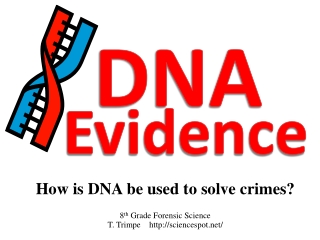How is DNA be used to solve crimes?