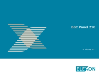 BSC Panel 210