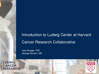 Introduction to Ludwig Center at Harvard Cancer Research Collaborative