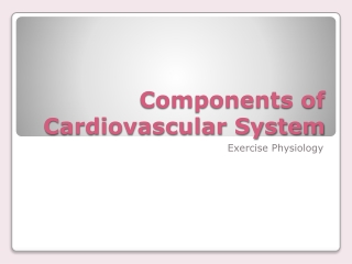 Components of Cardiovascular System