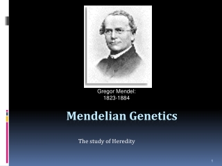 Mendelian Genetics