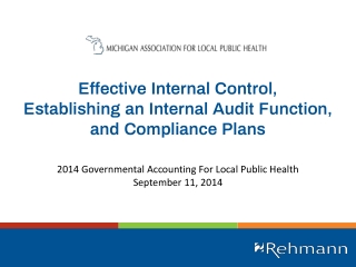 Effective Internal Control, Establishing an Internal Audit Function, and Compliance Plans