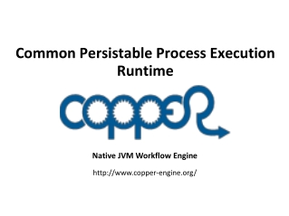 Common Persistable Process Execution Runtime