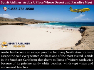 Spirit Airlines: Aruba A Place Where Desert and Paradise Meet