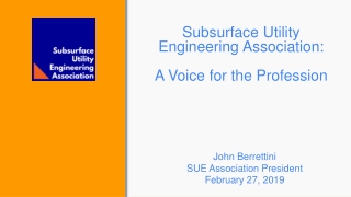 Subsurface Utility Engineering Association: A Voice for the Profession