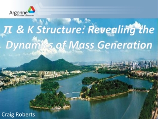 π &amp; K Structure: Revealing the Dynamics of Mass Generation