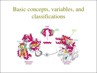 Basic concepts, variables , and classifications