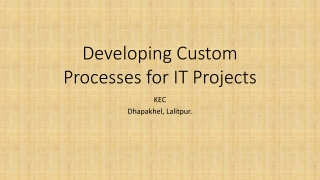 Developing Custom Processes for IT Projects