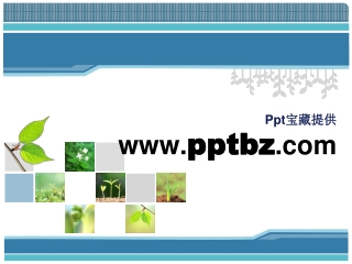 Ppt 宝藏提供 pptbz