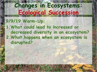 Changes in Ecosystems: Ecological Succession