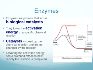 Enzymes