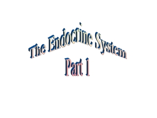 The Endocrine System Part 1