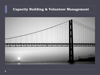Capacity Building &amp; Volunteer Management