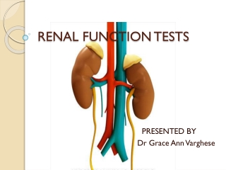 RENAL FUNCTION TESTS